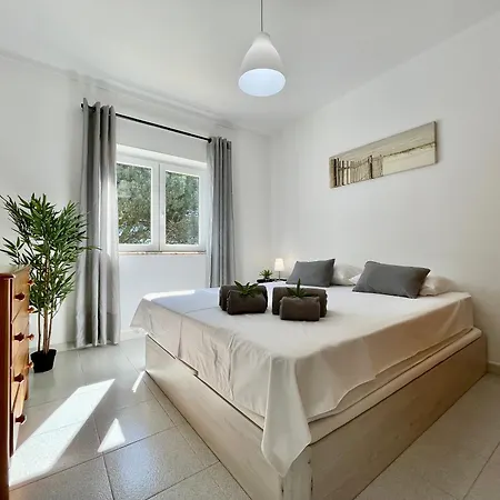 Sd - With Pool And Garden